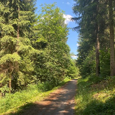 fewo-turmblick-rottweil Exterior foto